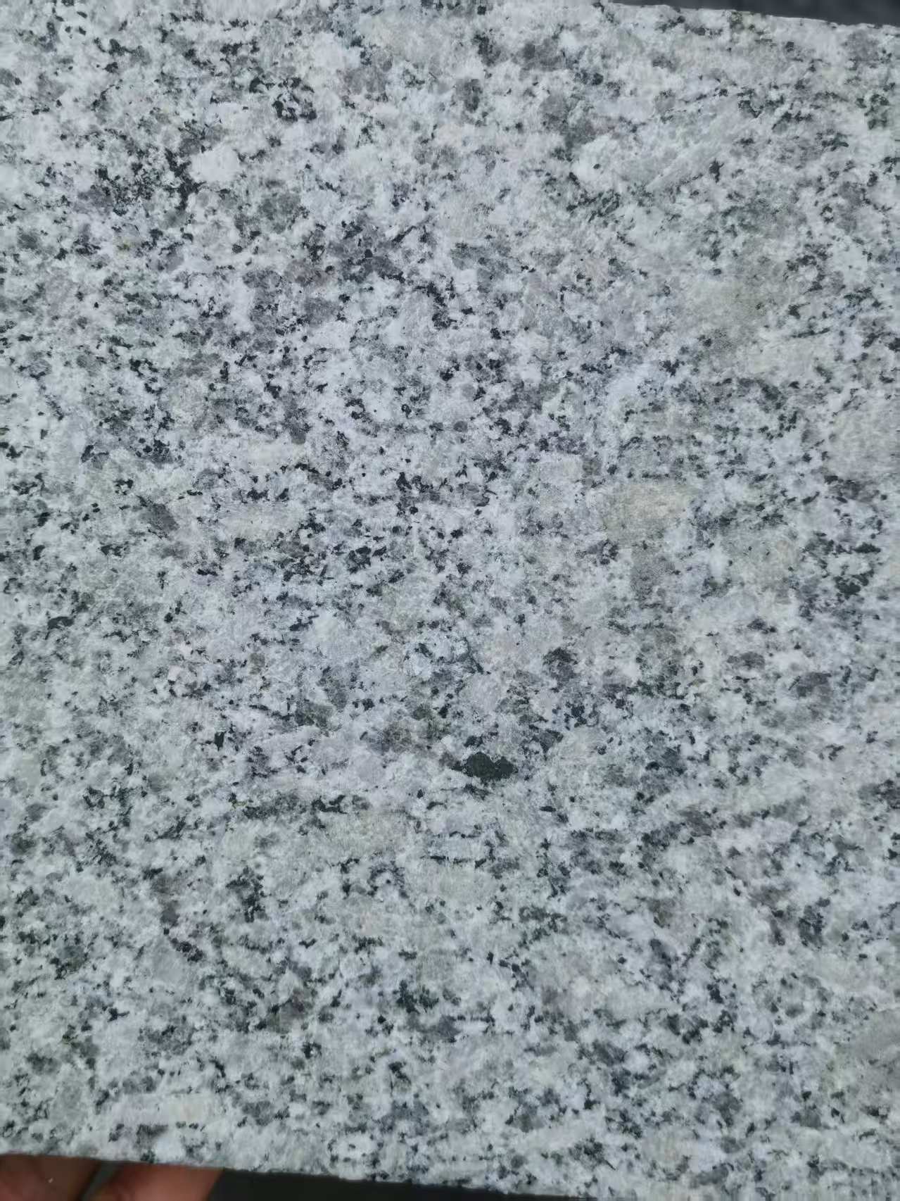 乌海 芙蓉白火烧面